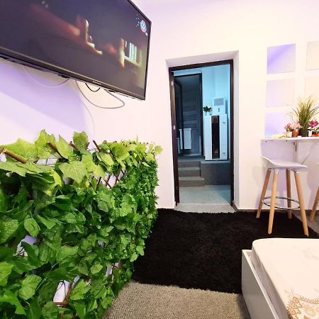 Апартаменты Old Town Tomis Studio Констанца Экстерьер фото