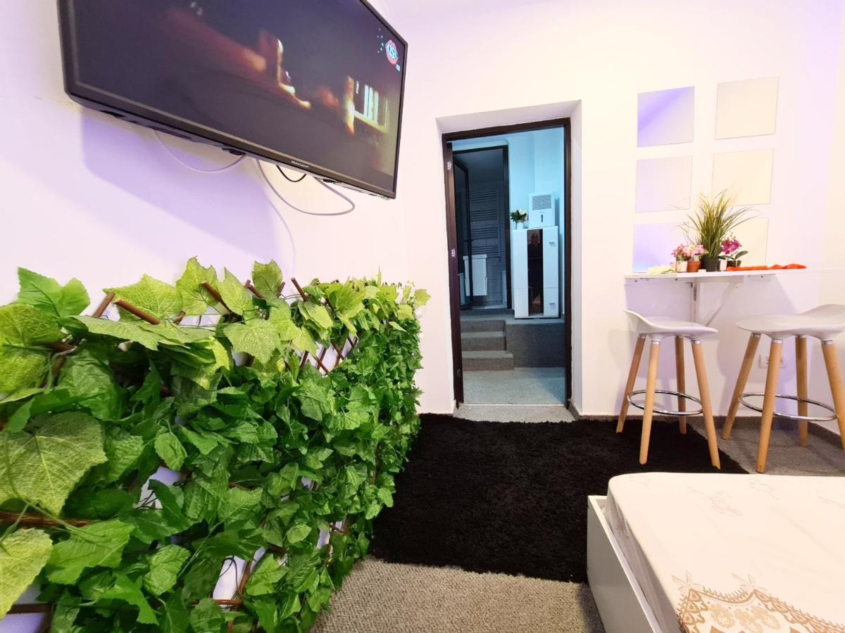 Апартаменты Old Town Tomis Studio Констанца Экстерьер фото